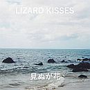 Nothing Left (Live) - Lizard Kisses
