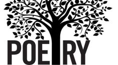 03/11-Albany Park Poets Open Mic @ Nighthawk Cafe, Chicago