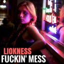 Fuckin' Mess - Liokness