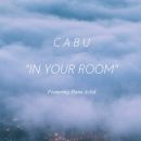In Your Room Feat. Hana Acbd - Cabu