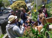 01/24-2018 City of Dreams Community Garden Rally, @ Laughing Monk Brewing, SF...