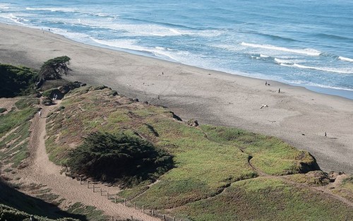 The beach at Fort Funston, It's at the far SW corner of the city, too close to be considered at all for stealth camping...