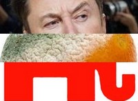 Musk, Yambo, and the GQP...