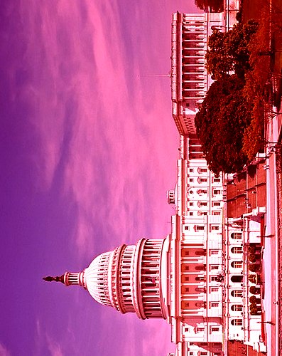 US Capitol, Public Domain Image...