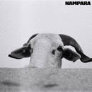 Fall Dawn - NAMPARA