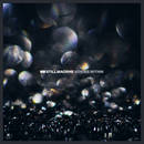 Echoes Within - Still Machine