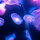 Go Quietly - Cristina Lord 