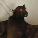 Wet Rabbit - Harvey Rushmore & the Octopus