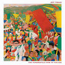 Political Solution - Jeff Tobias