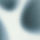 Inside A New - The Dharma Chain