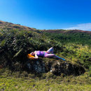 Stillness Gyrating  - Balderdasch