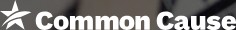 Org. Logo...