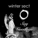 Say Goodbye - Winter Sect