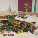 Watched - Grey Matter