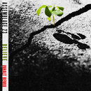 Believe (INHALT Remix) - Assemblage 23