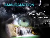 We're Not the Only Ones - Amalgamation