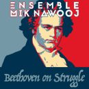 Beethoven on Struggle - Ensemble Nik Nawooj