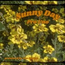 Sunny Day - The Regime