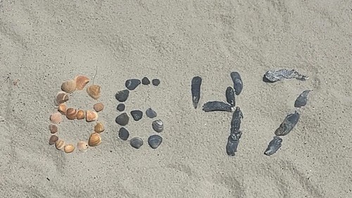 Image: James Comey's Instagram shared an image of sea shells arranged in the numbers '86 47' on the beach, now taken down...