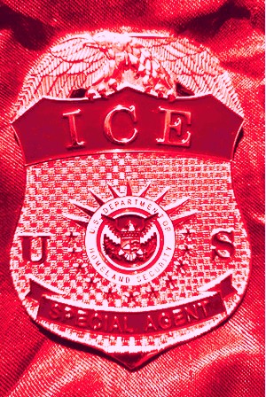 Replica ICE Special Agent US Department of Homeland Security Badge, on sale at eBay...