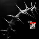 White Noise - 16volt