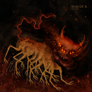Solace (feat. Juho Vanhanen) - Sum Of R
