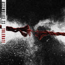 Tolerate - Assemblage 23